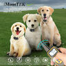 0791321530351 Unbranded Waterproof Yard Dog Shock Training Collar Pet