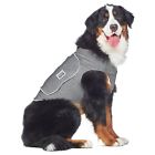 100532986 Comfort Zone Calming Vest For Dogs Extra Large Thunder And