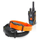 1902s Dog Collar 2 Dogtra Remote Training