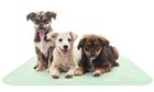 192055304551 Petmaker New Puppy Pads