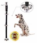 43235-198639 Xbells Dog Doorbell For Potty Training Durable Adjustable 710475958811 43235-198639 Xbells Dog Doorbell For Potty Training Durable Adjustable 710475958811