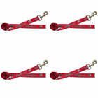 464001 Pet Goods Mfg Imports Small Collegiate By Lead 732757460010