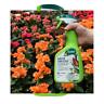 5450-6 Safer Brand Garden Fungicide Ready To Use Ounces