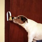 5680 Evelots Dog Doorbell For 750022132127 5680 Evelots Dog Doorbell For 750022132127