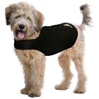 5932 Zenpet Zendog Calming Compression Large 683615359321
