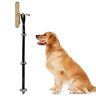 6086855969833 Unbranded Pet Dog Door Bells Potty Puppy Bell 6086855969833 Unbranded Pet Dog Door Bells Potty Puppy Bell