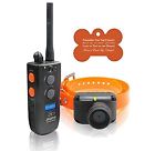 615867146404 Dogtra Brand Remote Training Systems