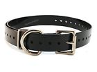 634252116778 Dogtra Strap Black Other Dog Training Obedience Supplies