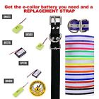 650348107093 Collar Educator Replacement Battery For Rem