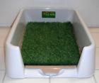 680140582262 Pee Wee Pet Products 680140582262 Pee Wee Pet Products