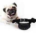 6901283517626 Unbranded Us Anti Bark Training Collar No Barking