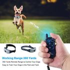 6902210640097 Unbranded Waterproof Remote Electronic Dog Training Collar Vibrating