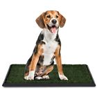 6940350856480 Unbranded Pet Potty Dog Training Grass Mat Toilet