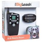 707109006857 Dogwatch Bigleash Remote Trainer