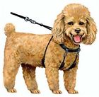 708443100614 Sporn Dog Halter Blue Small