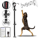 712492018257 Dog Bells For Potty Training Bell Your Puppy