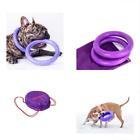 734038430347 Dog Balls Training Kit Gifts Outdoor Toys Two
