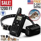 7340439731018 Branded Dog Shock Training Collar With Remote Coach