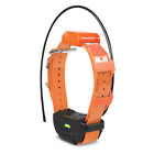 744622080100 Dogtra Pathfinder Trx Tracking Only Collar Orange