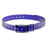 744622347036 Dogtra Dog Strap Size Color Blue 744622347036