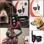 765867 Dogtra Dog Training Collar 709044152637