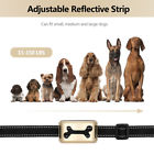 800000157373 Unbranded No Bark Collar Usb Led Digital Display