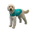 819505010861 Generic Thundershirt Dog Jacket For Anxiety Green 819505010861 Generic Thundershirt Dog Jacket For Anxiety Green