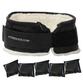 Activedogs.com 402600 Weighted Dog Training Collar For Muscle Building Tactical Aggressi