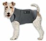 Ak1001-cc-s Akc New American Kennel Club Stress Relief Coat 734213010647