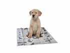 Akc62921 Akc New Scented Absorbent Training Pads 840294132557