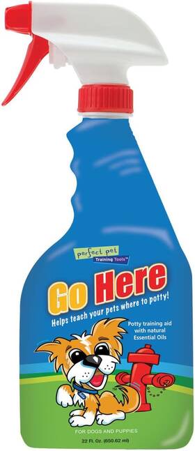 And Packaging Inc. Gh22 Davis Go Here Potty Training Aid 22 Oz