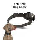 Arx0002 Pawz Road Guardian Anti Bark Collar Rechargeable Small Large Dog