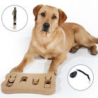Arx0005nc Pawz Road Dog Cat Toy Kit Interactive Shuffle 716253399777