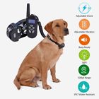Arx0007bk Pawz Road 500m Dog 716253399753