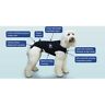 Aw05t The Anxiety Wrap For Dogs Xx Small