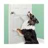 B01lzshld1 Bandwagon Large Vinyl Door Guard For Dog Scratching 052598648003
