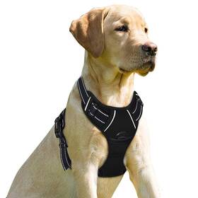 Barkbay 653445918692 No Pull Dog Harness Front Clip Heavy Duty Reflective Easy Control Han Barkbay 653445918692 No Pull Dog Harness Front Clip Heavy Duty Reflective Easy Control Han
