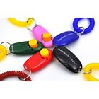 Bigbutton5pk Big Button Pet Dog 702458914334 Bigbutton5pk Big Button Pet Dog 702458914334