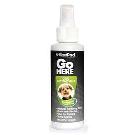 Brilliantpad 851136008237 Go Here Puppy Potty Training Spray Natural Attractant Dog And