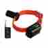 Btb809 Dt Systems Baritone Beeper Deluxe Collar W Remote Control