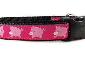 43396-202217 Caninedesign Quality Dog Collars Farm Collar Pigs Sheep 1 Inch Wide Adjustable Nylon M