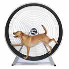 Cg6020 Gopet Treadwheel Large