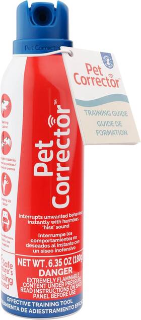 Company Of Animals 313055537507 The Pet Corrector
