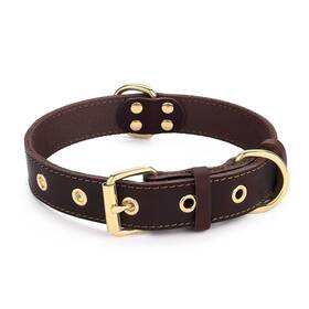 Daihaqiko Dkdc19 Dog Collar Leather With Adjustable Sturdy Metal Buckle Heavy Duty