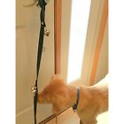 Diezeldogpottybell Diezel Pet Products Dog 716715680160 Diezeldogpottybell Diezel Pet Products Dog 716715680160
