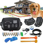 Doe309672 Elegiant Underground Electric Dog Doe309672 Elegiant Underground Electric Dog