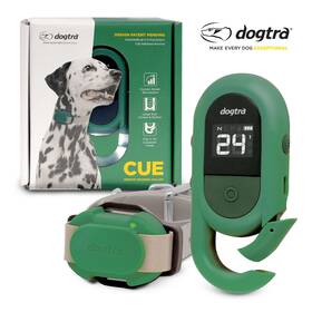 Dogtra 644622020871 Cue Compact Remote Dog Training Collar Cur-grn