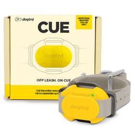 Dogtra 644622020888 Cue Rx Receiver Collar For Compact Dog Trainer Yellow