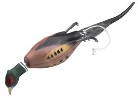 Dokken 653020017383 Pheasant Dead Fowl