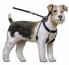 Dsp10057 Sporn Pet Products No Pull Halter Black Medium 708443100577
